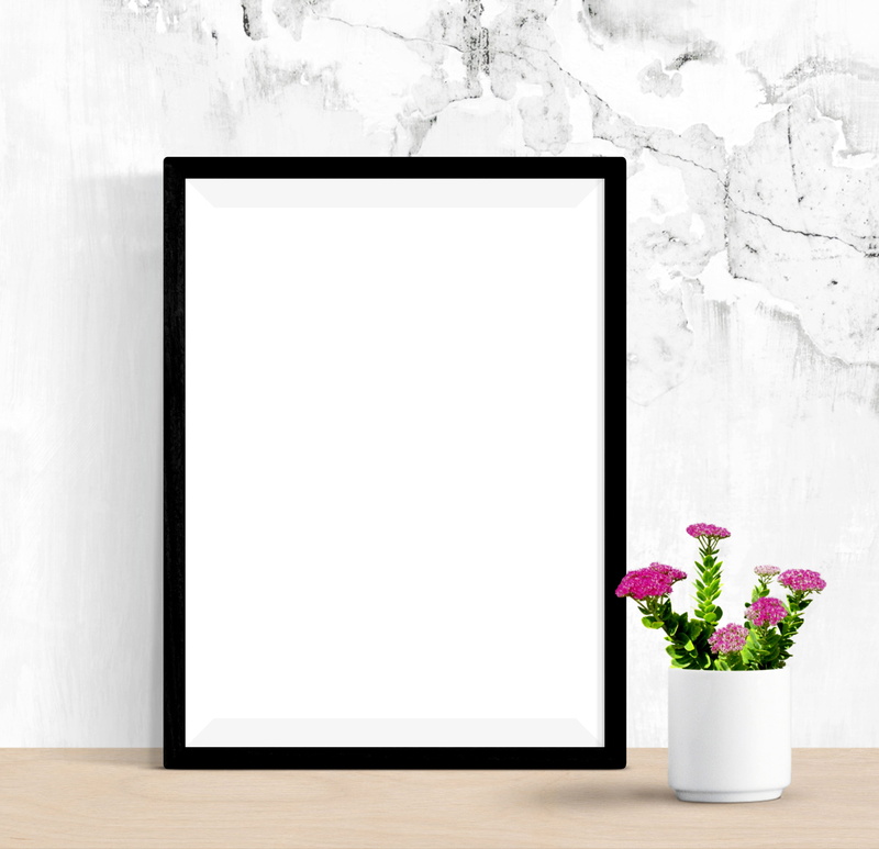 nature, canvas, television set, template, wall, freshness, decorative, vulnerability, flower pot, 4K, poster, table, indoors, flat screen, mockup, frame