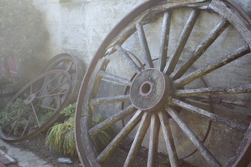 abandoned, gray, old, pattern, close-up, design, plant, outdoors, obsolete, decline, transportation, wall - building feature, vintage, wagon wheel, retro