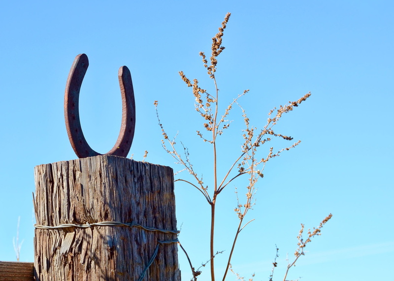 art and craft, no people, sky, nature, rural, communication, vintage, post, sunlight, fence, succulent plant, weather-beaten, low angle view, blue, farm