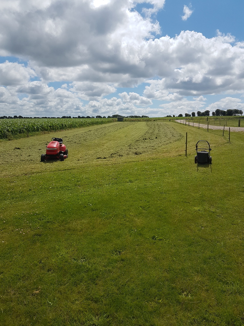 beauty in nature, beaten, plant, scenics - nature, nature, land, no people, transportation, landscape, new, land vehicle, motor vehicle, outdoors, grass