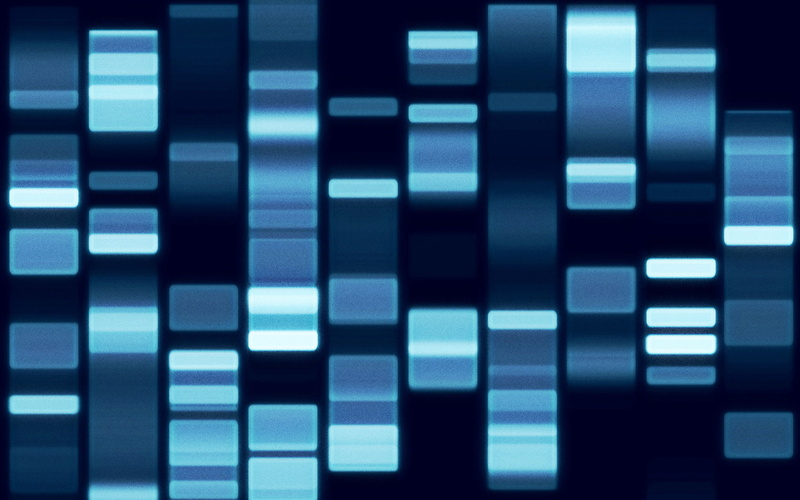 2K, sequence, genetic, dna