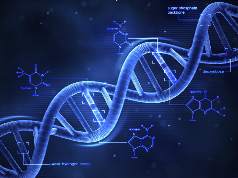 abstract, science, 4K, Medicine, psychedelic, abstraction, Medical, Chemistry, genetics, Biology, detail