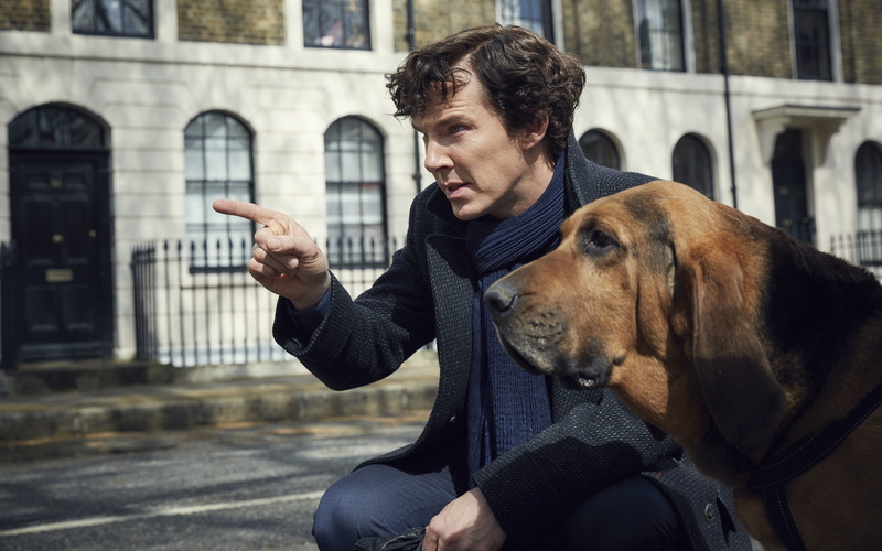 4K, Sherlock Holmes, Benedict Cumberbatch, Sherlock