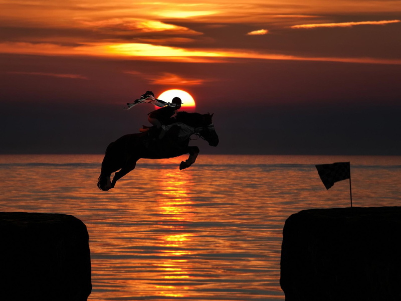 water, animal, beauty, nature, 1080P, sunset, yellow, dusk, jumper, animals, horse, evening, reflection