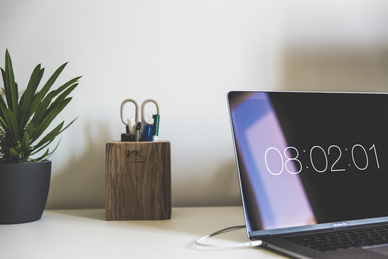 organizer, furniture, indoors, domestic Room, modern, business, wooden, photo, connection, computer Monitor, air, flower pot, macbook, black, brown, text