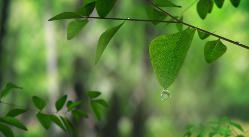 screen, draw, freshness, vulnerability, green, cinematic, phone, leaf, display, growth, purity, green color, no people, day, focus on foreground, drop