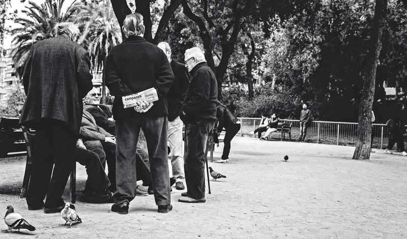 talking, people, rear view, standing, warm clothing, nature, women, adult, 4K, barcelona, walking, tradition, footpath, happy, old friends, men, outdoors