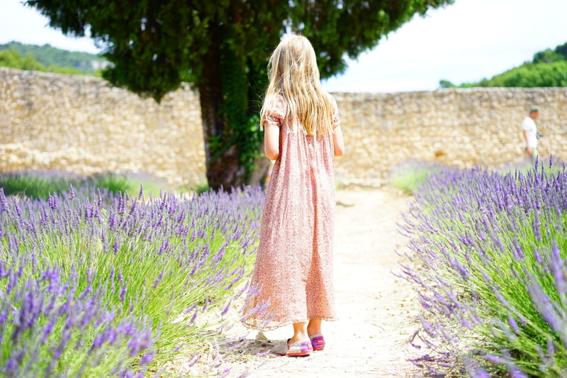 lavandula angustifolia, beauty in nature, idyllic, lamiaceae, one person, provence, field, aroma, lavandula officinalis, lavender garden, summer flowers