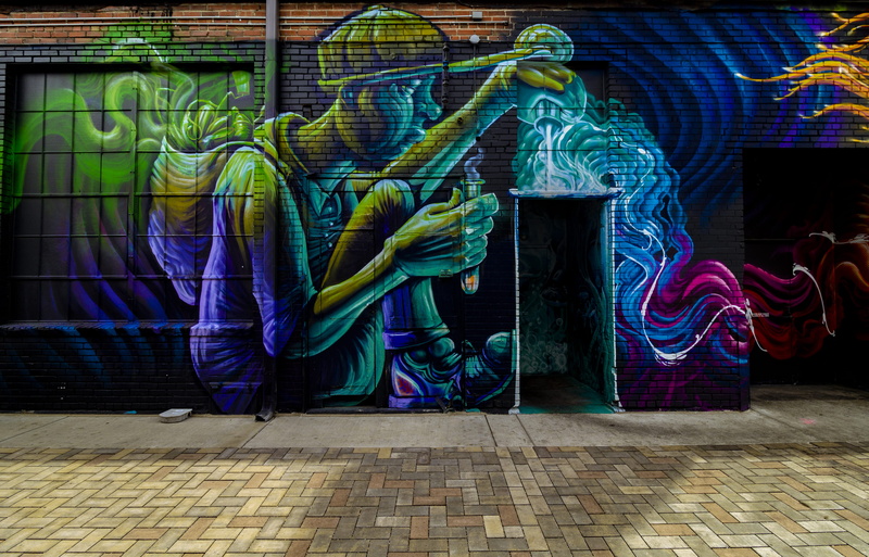 motion, spraypaint, urban, street art, animal representation, wall - building feature, creative, creativity, multi colored, green color, blurred motion