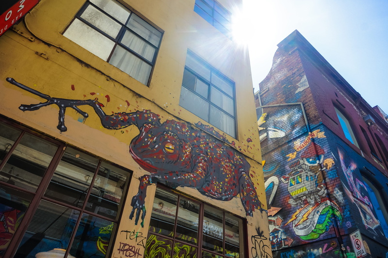 paint, communication, building, 4K, art, bright, melburn, melbourne, nature, lens flare, australia, spray paint, art and craft, spraypaint, window, outdoors