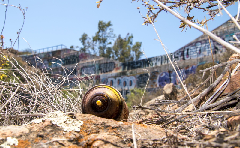 outdoors, nature, field, shell, spray, abandoned, plant, day, sunlight, transportation, animal wildlife, rust, focus on foreground, spraypaint, graffiti