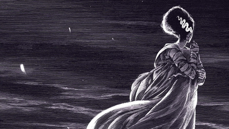 Monster Of Frankenstein, drawing, Brides, 1080P