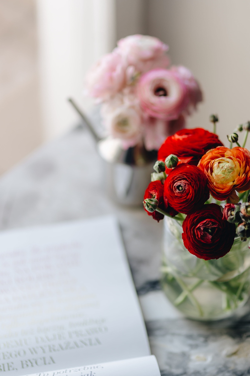 vogue, cute, rose - flower, buttercup, poland, table, peanut butter, amp, lovely, marble, vogue polska, natalia vodianova, magazine cover, flowering plant