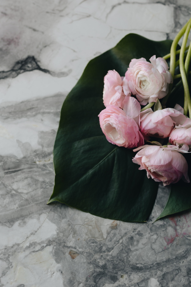 floral, natalia vodianova, 5K, marble, softness, rose - flower, magazine cover, flowering plant, newspaper, poland, fragility, flowers, rose, vogue may