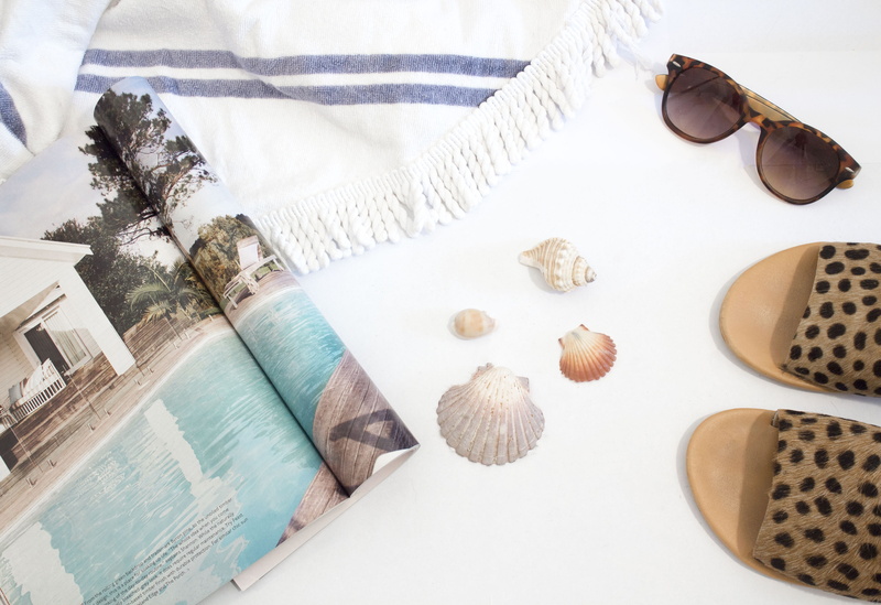 shell, opened, sunglasses, instagram, no people, white background, high angle view, beachy, beside, water, flatlay, tropical climate, sunshine, reading