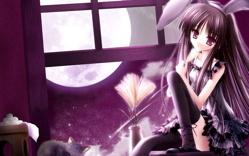tinkle, ears, illustrations, cats, hd, 720P, bunny, space, wa, moons, x, art, animal, Dress, girls, tights, anime, moon