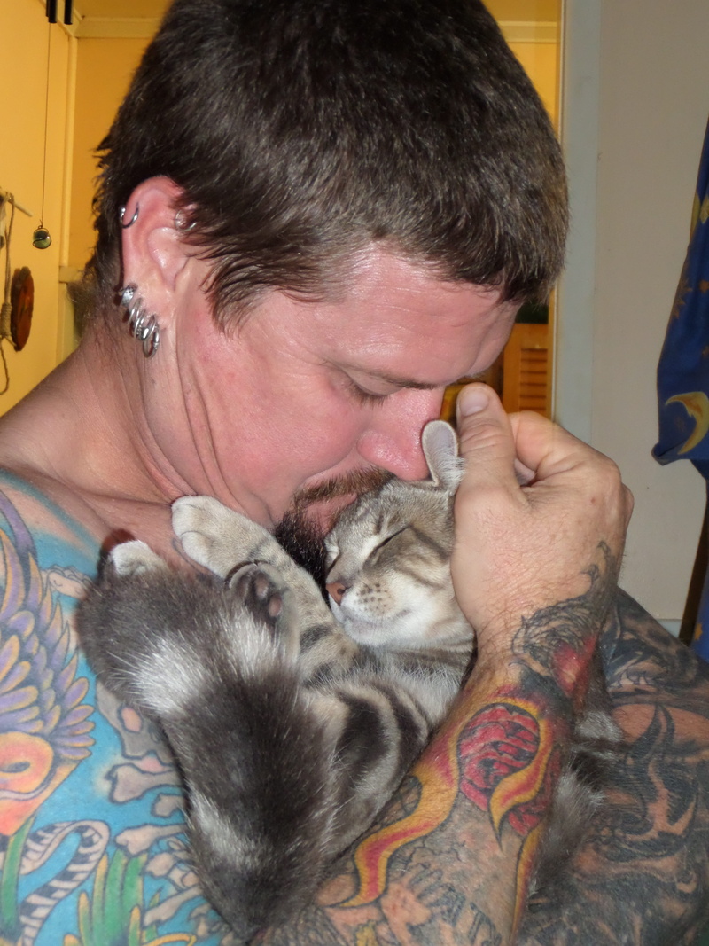 loving, help, peace, kitten, vertebrate, heart, kind man, cute, protection, hugging, cat, adopt, happiness, one animal, little, tough guy, holding, friendship