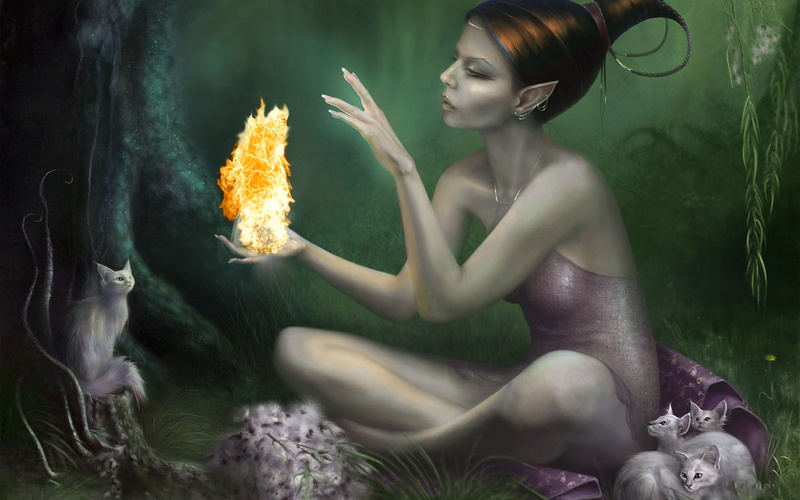 women, digital, art, hd, 1080P, fantasy, elves, fire, dress, cats