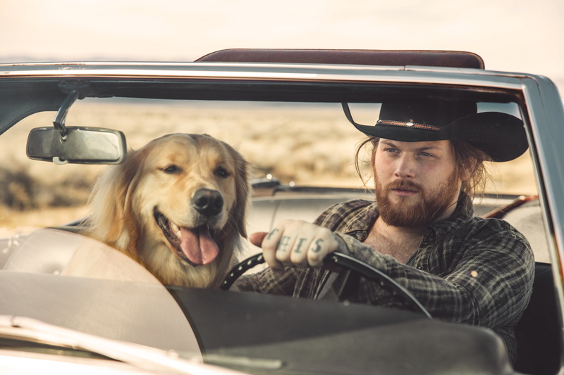 asking alexandria, 5K, we are harlot, danny worsnop
