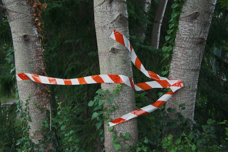 day, security, trees, form, multidirectional, boundary, shape, direction, figure, warning sign, nature, arrowhead, background, way, land, trunk, right