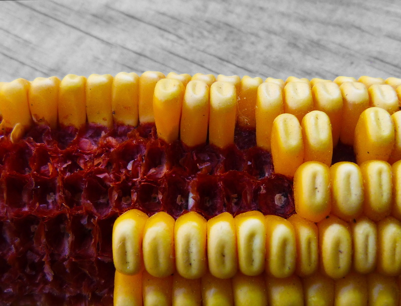 vegetable, sweet food, contrast, no people, food and drink, 4K, abacus, snack, freshness, corn, symbol, sweetcorn, food, healthy eating, indoors, temptation