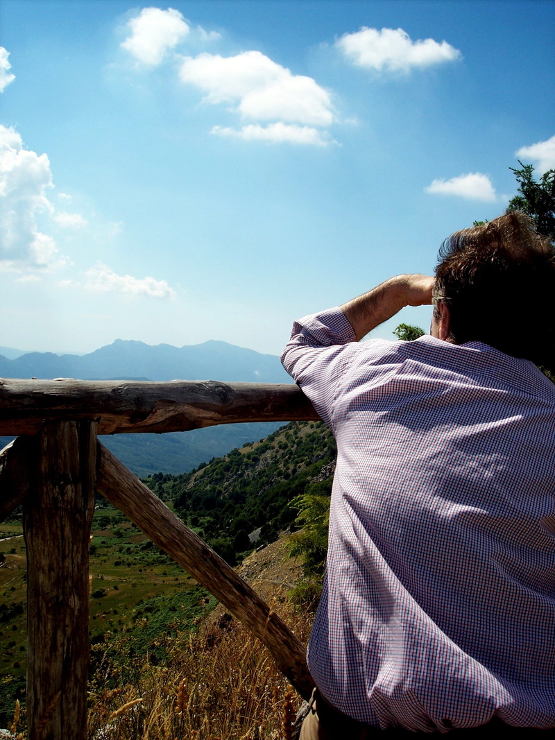 clouds, tranquility, environment, beauty in nature, scenics - nature, fence, scrutinize, tranquil scene, cloud - sky, nature, men, horizon, rear view, sky