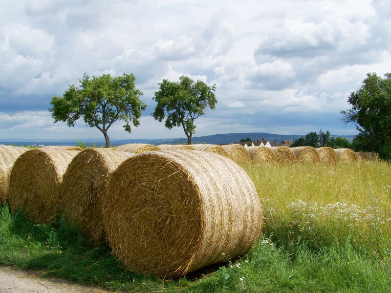 grass, beauty in nature, no people, growth, straw, rural landscape, agriculture, field, bales, gabonasz, hay, land, cloud - sky, outdoors, r, farm, Potential