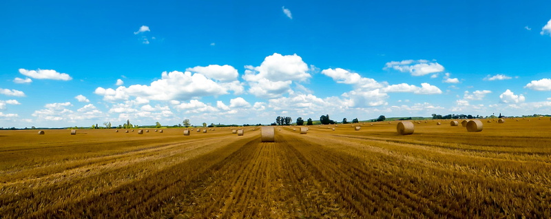 rural landscape, no people, harvested crops, farm, scenics - nature, ripe, land, cereal plant, straw bales, horizon, straw bale, nature, bale, sky, field