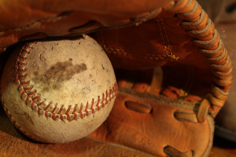 domesticated, sweet, dog, old, white, america, baseball - sport, selective focus, adorable, baseball - ball, pet, tired, purebred, potential, sports, portrait