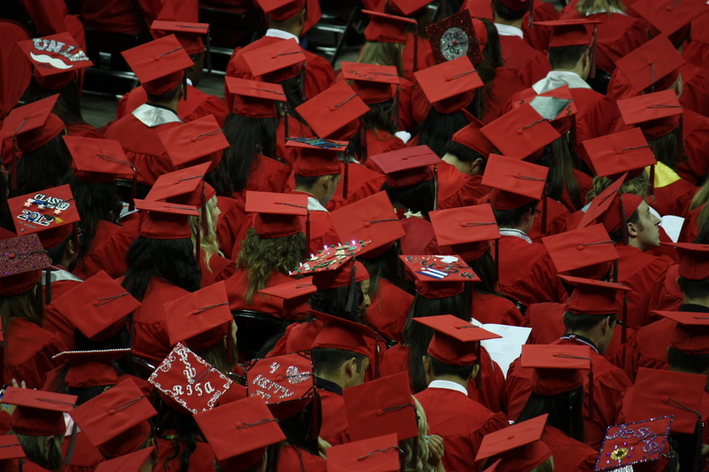 abundance, nature, graduates, academic dress, graduation, high angle view, full frame, close-up, outdoors, no people, still life, red, academic, dress