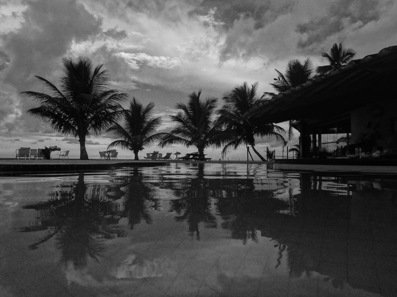 no people, beauty in nature, tropical, vocation, waterfront, swimming pool, tranquility, reflection, tree, built structure, water, nature, sky, holiday