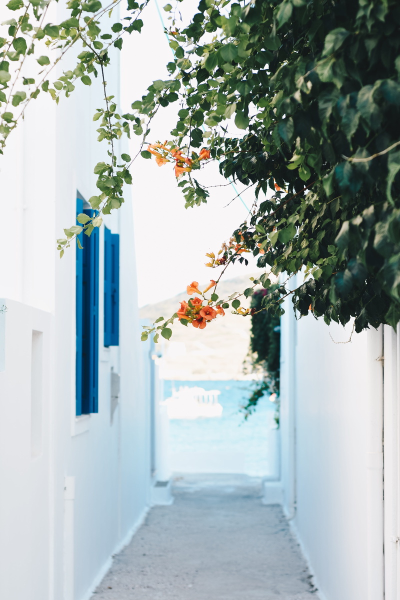 decoration, plant, no people, built structure, flower, house, tree, white, hanging, building exterior, urban, direction, nature, vocation, door, outdoors