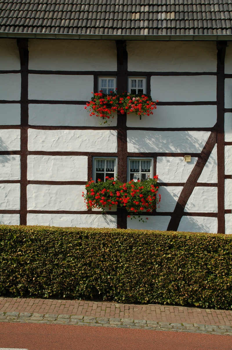 beauty in nature, timber-framed, stucco, day, roof tile, flower pot, plant, built structure, flower, flowering plant, 2K, building, window, residential district