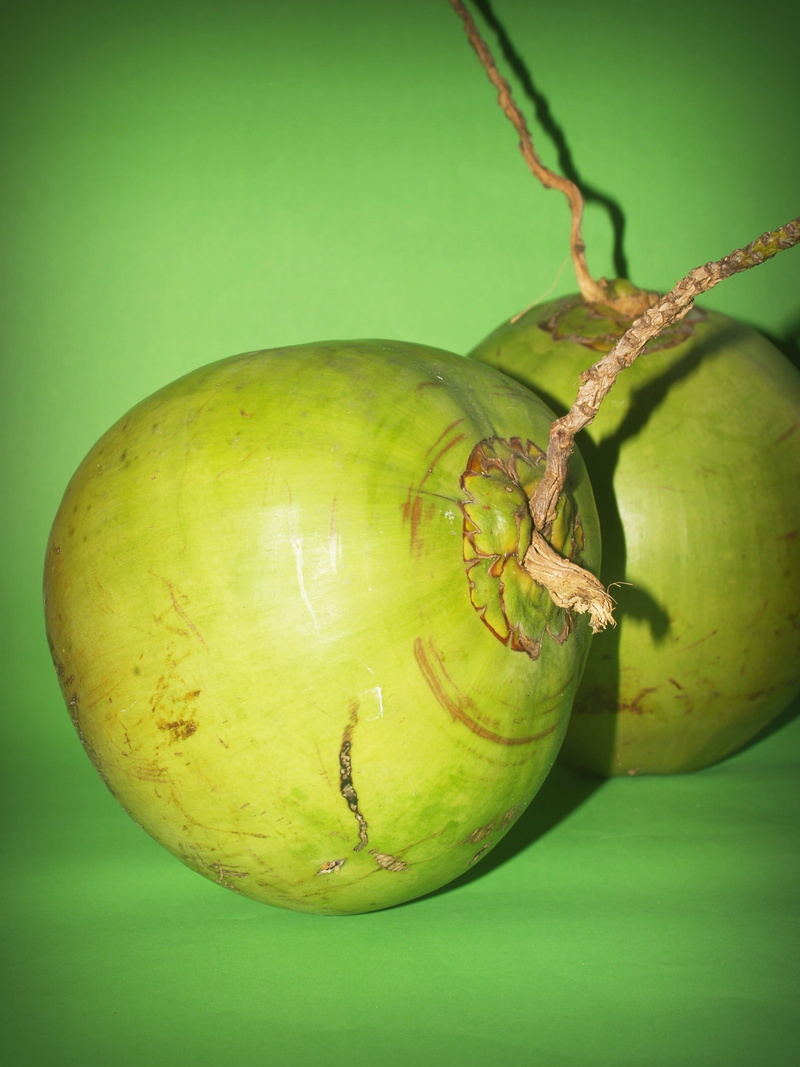 close-up, branch, two, sweet, indoors, studio shot, Fruit, asian, animal, Coconut, no people, summer, refreshment, health, insect, ripe, shell, copy, close
