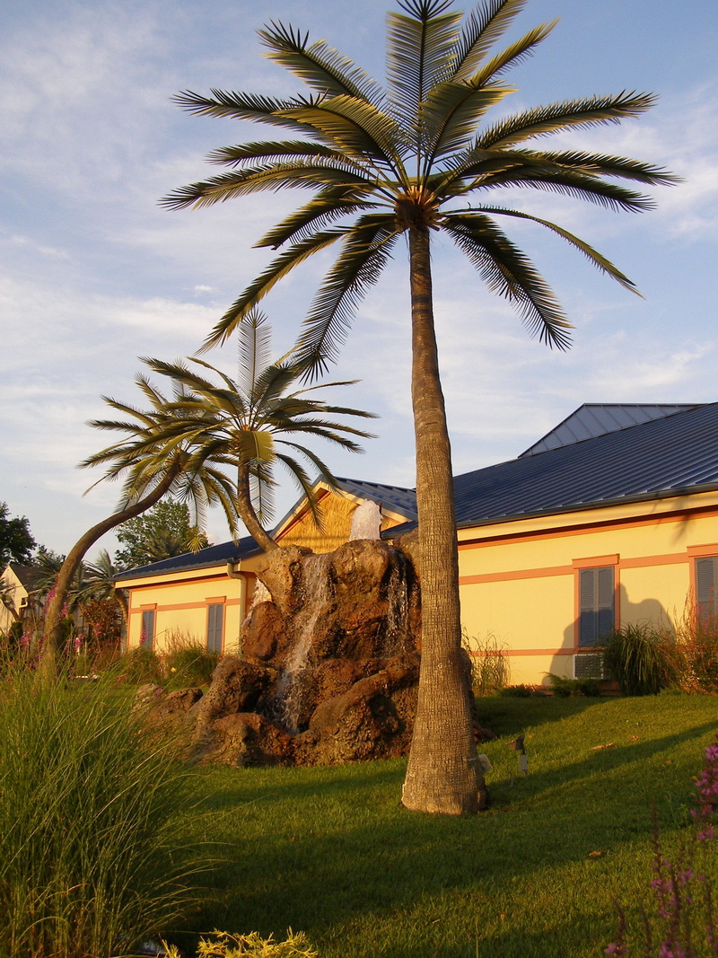 tourism, day, exotic, building exterior, architecture, palm, wildwood inn, cloud - sky, house, landscape, tropical climate, tropical, Wildwood, 2K, palm tree isolated