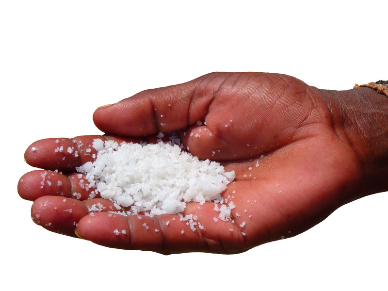 background, hand, salt, palm of hand, holding, human finger, thumb, palm, human hand, nature, finger, indoors, close-up, body part, isolated, white color