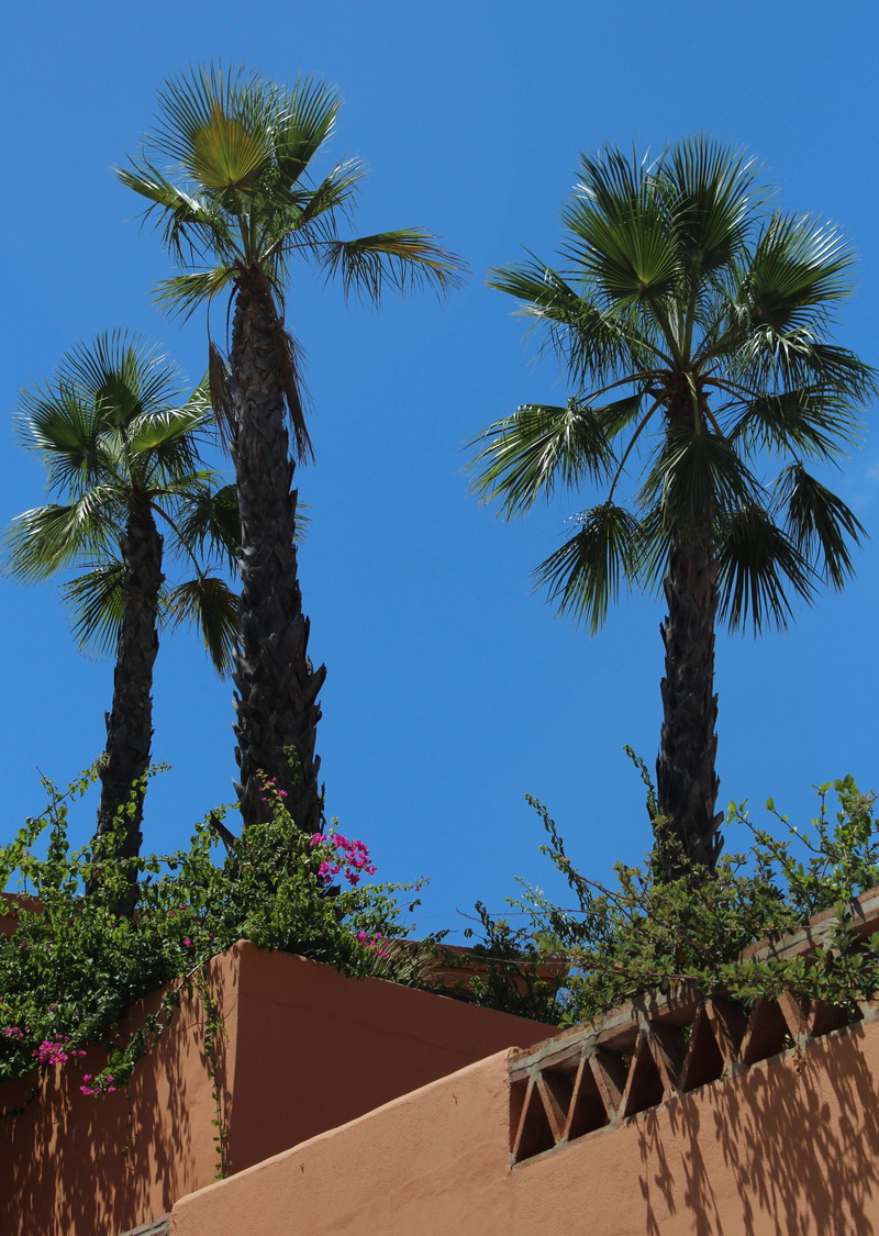 sunlight, coast, plant, paradise, seascape, vacation, island, tree trunk, green, beauty in nature, recreation, romantic, coconut, sand, roof, exotic, architecture