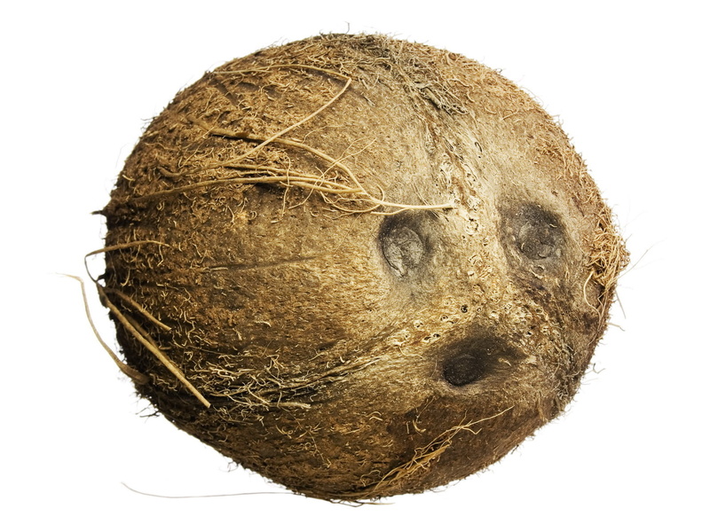 delicious, gourmet, 720P, fresh, exotic, plant, isolated, single object, tasty, nutrition, beautiful, subtropical, close-up, cut out, old, nature, circle
