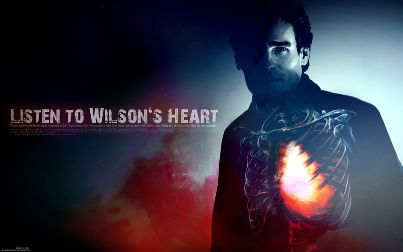720P, wilson, sean, leonard, ribs, house, text, robert, m d, james, evan