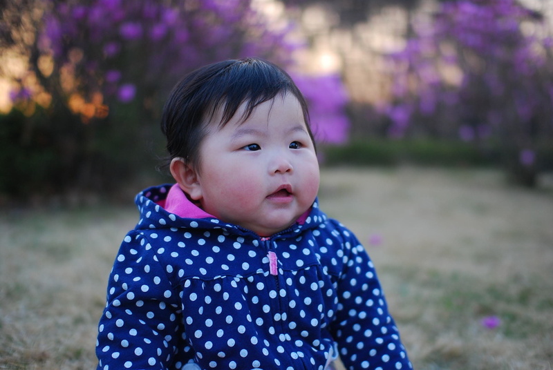 1080P, hoodie, Portrait, wearing, polka dot, purple, small, Child, real people, cute, outdoors, headshot, face, polka, Girl, dot, cheerful, Korean, infant