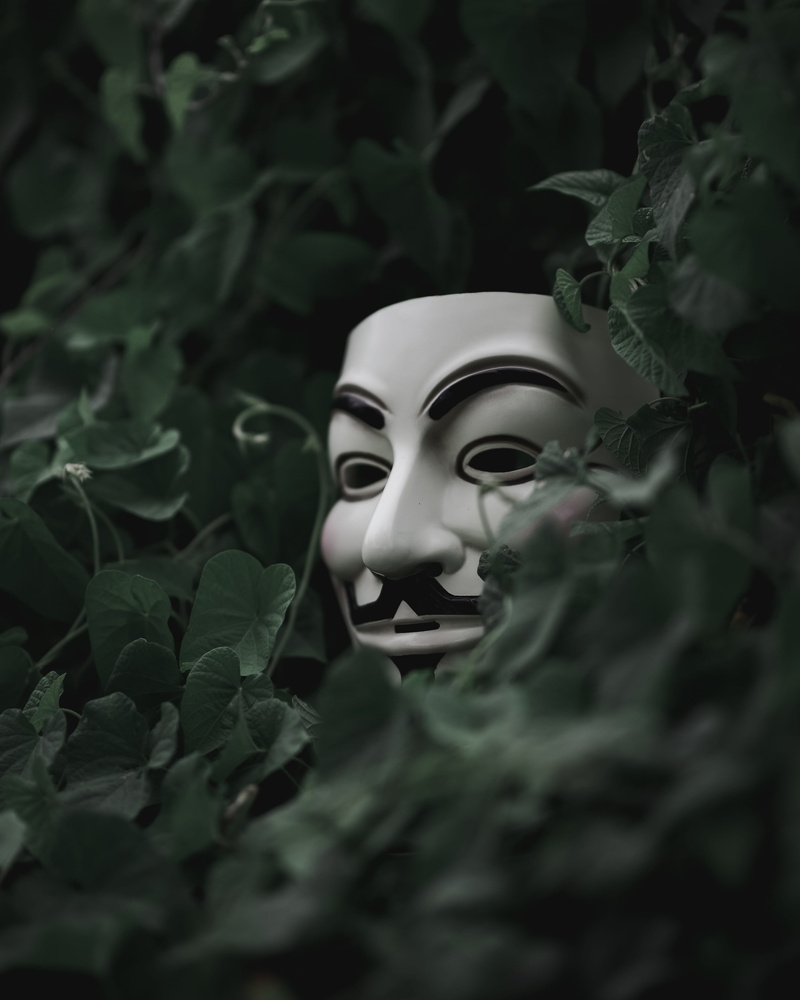 people, behind, human Face, face, focus, hide, blur, cover, mask, hiding, theatrical Performance, bokeh, short, dark, selective, plants, mask - Disguise