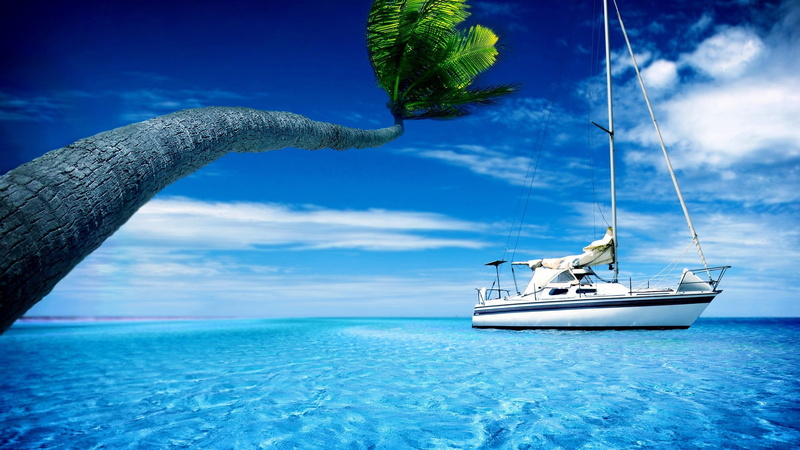 cruise ship, 1080P, nautical vessel, outdoors, boat, palm trees, yachting, travel, transportation, ship, luxury, nature, yacht, cloud - sky, sailing, blue