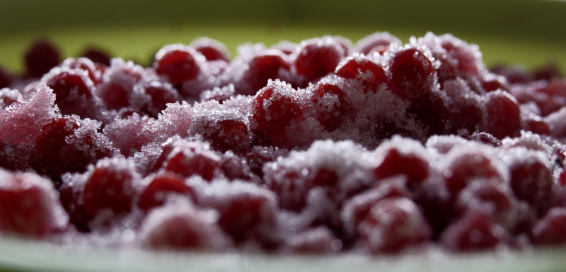 cranberry, nature, bright, red, close-up, plant, fruit, autumn, food, berry, selective focus, therapeutic, viburnum, sugar, healthy eating, day, wellbeing