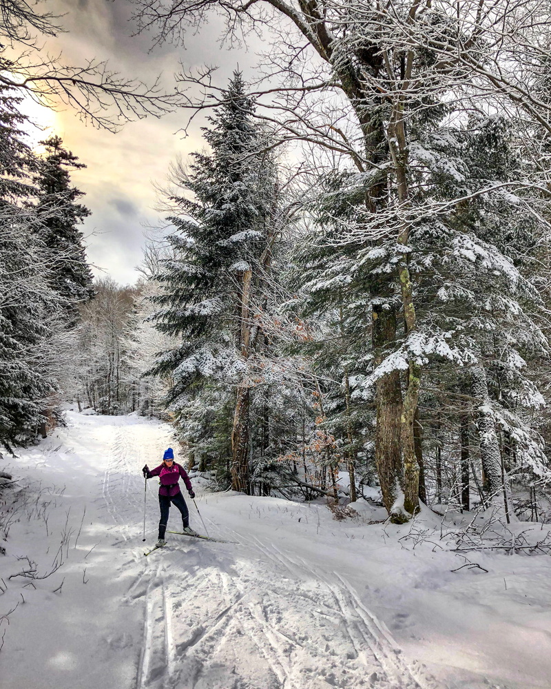 land, trees, covering, person, ski, nordic skiing, one person, unique, daytime, winter, warm clothing, 2K, sports, non-urban scene, mt. van hoevenberg cross country and biathlon center