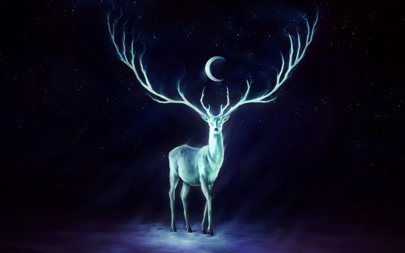 horns, moon, 2K, stars, deer
