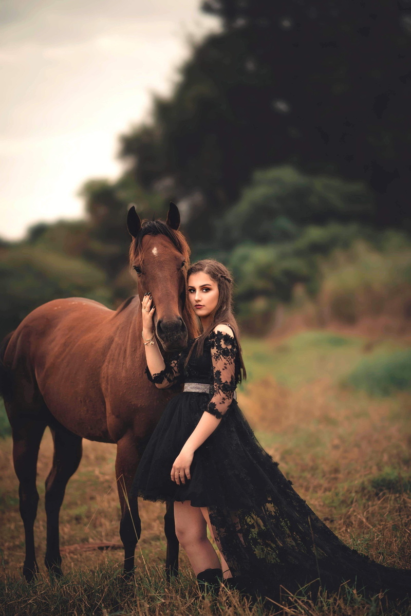 black, animal themes, horse, wear, tree, leisure activity, depth of field, mammal, plant, model, pets, style, vertebrate, fashionable, wearing, beautiful