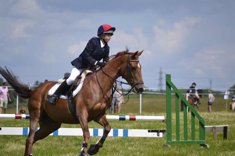 horse, riding, motion, mammal, real people, pets, domestic, horseback riding, competition, 4K, animal, power, sky, animal wildlife, herbivorous, running