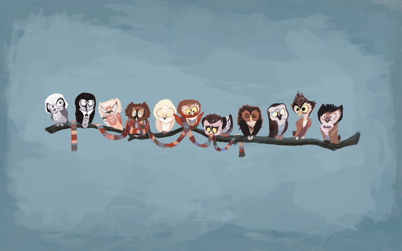 eleven, painting, branch, 1080P, owls, tree, contest