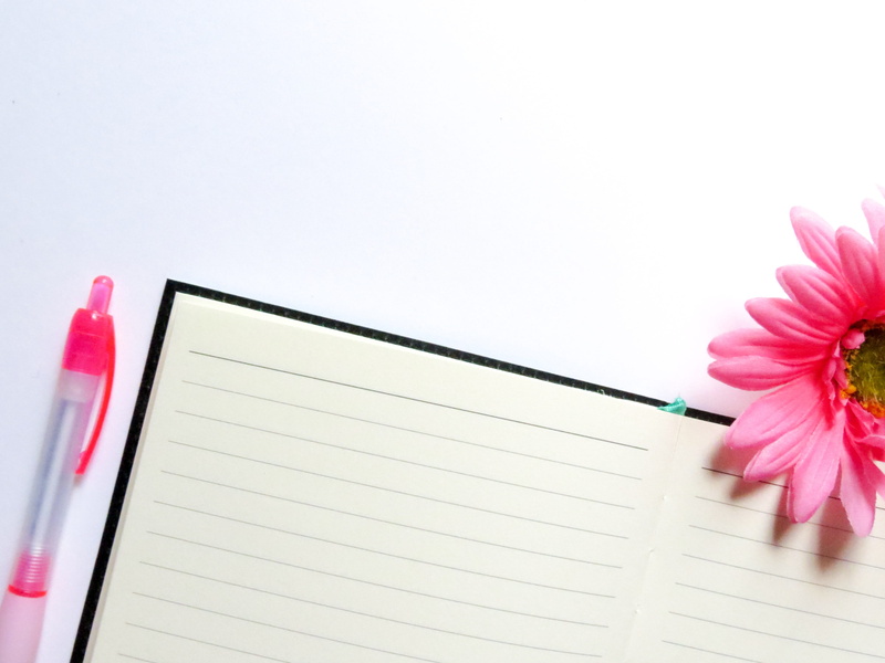 4K, white background, flowering plant, freshness, blank page, lines, spiral notebook, nature, pages, sheet, notebook, message, copy space, blank space