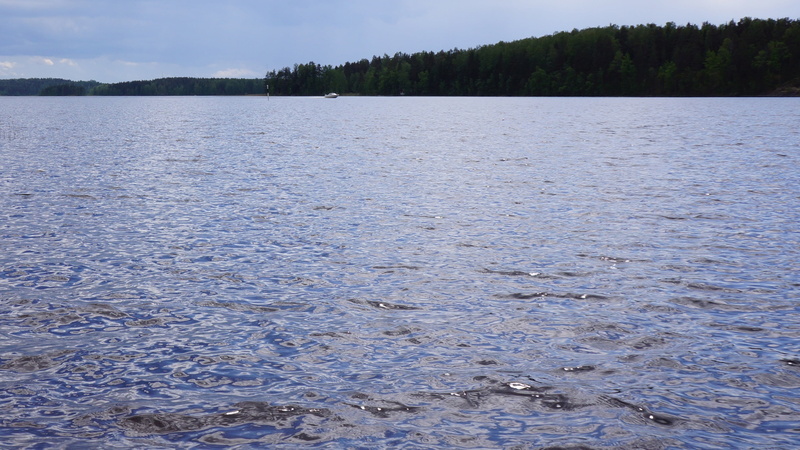 summer, day, environment, rippled, nature, forest, no people, blue, beauty in nature, tree, idyllic, land, non-urban scene, the opposite shore, tranquil scene